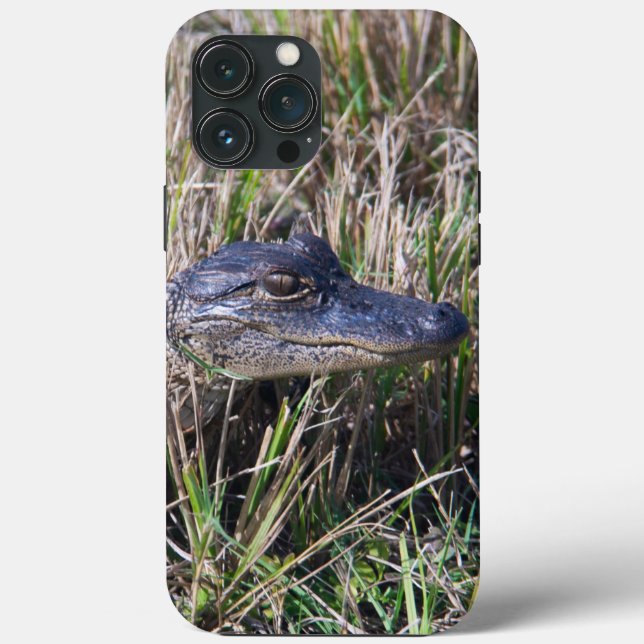 Baby Alligator Nature Foto Case-Mate iPhone Hülle (Rückseite)