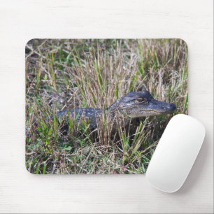 Baby-Alligator-Wildlife-Naturfotografie Mousepad