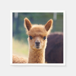 Baby Alpaca Standard Cocktail Napkin Serviette