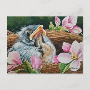 Baby American Robin Bird in Nest Watercolor Art  Postkarte
