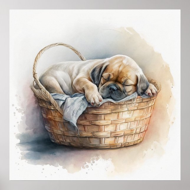 Baby Animal Prints für Kinderzimmer, Niedliches Do Poster (Vorne)