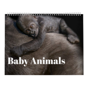 Baby Animals Kalender