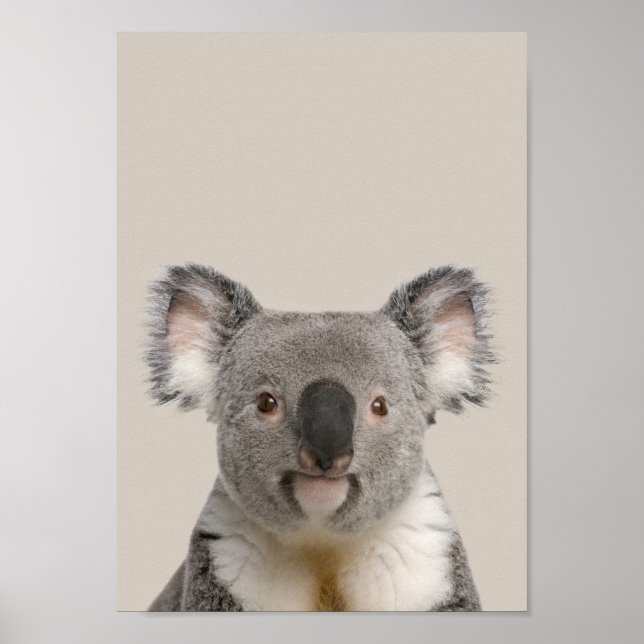 Baby Animals Kinderzimmer Poster - Koala (Vorne)
