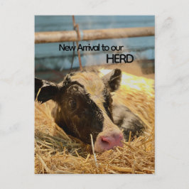 Baby Announcement Postcard Postkarte