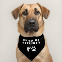 Baby Announction Pet Bandana