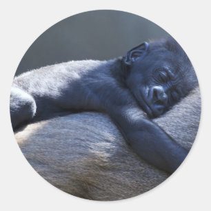 Baby Ape & Momma Runder Aufkleber