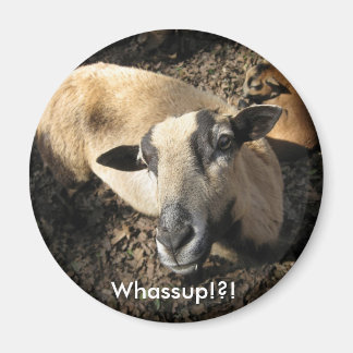 Baby aus der Black Oak Ranch Magnet