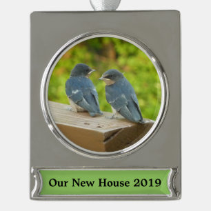 Baby-Barn-Schwalben Natur Vogel Fotografie Banner-Ornament Silber