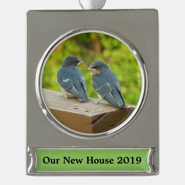 Baby Barn Swallows Nature Bird Fotografy Banner-Ornament Silber (Vorderseite)