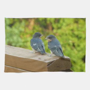 Baby Barn Swallows Nature Bird Fotografy Geschirrtuch