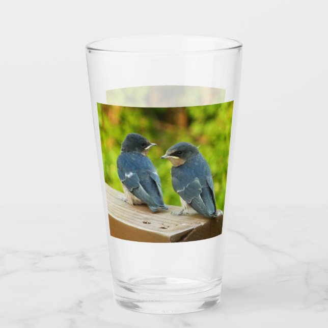 Baby Barn Swallows Nature Bird Fotografy Glas (Vorderseite)