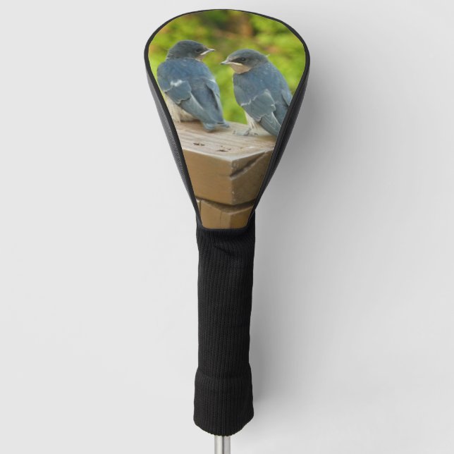 Baby Barn Swallows Nature Bird Fotografy Golf Headcover (Vorderseite)