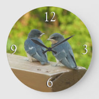 Baby Barn Swallows Nature Bird Fotografy