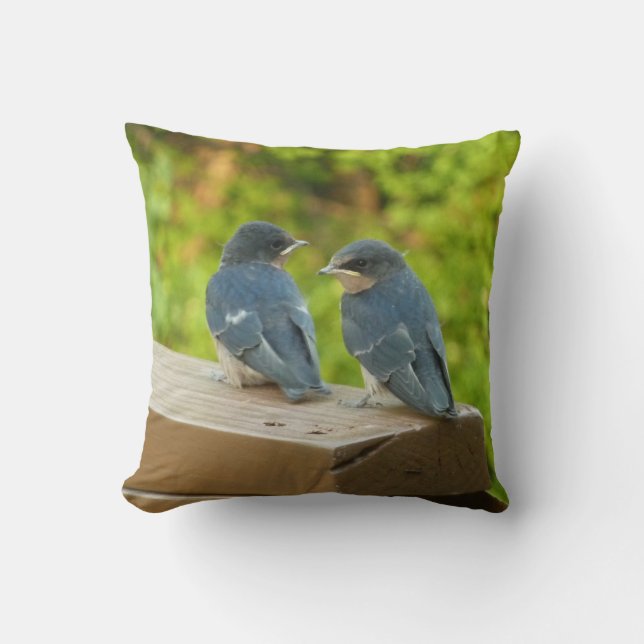 Baby Barn Swallows Nature Bird Fotografy Kissen (Vorderseite)