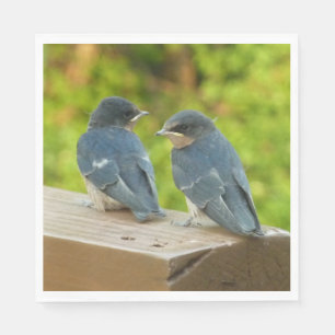 Baby Barn Swallows Nature Bird Fotografy Serviette