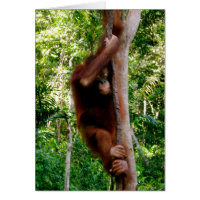 Baby-Baum Hugger: Menschenaffe