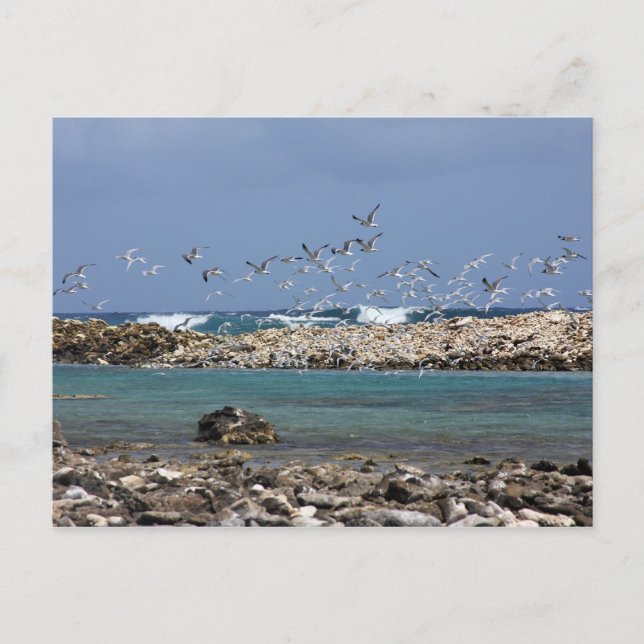 Baby Beach Postkarte (Vorderseite)