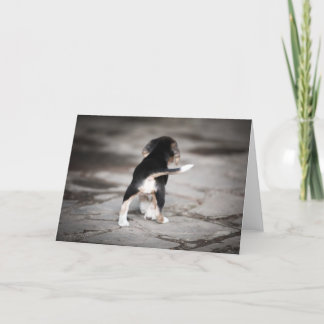 Baby Beagle Bottom Karte