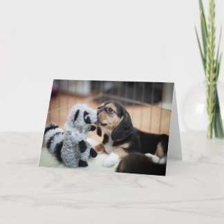 Baby Beagle und ihr neues Spielzeug Karte