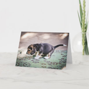 Baby Beagle und Leaf Karte