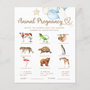 Baby Bear Baby Shooting Game