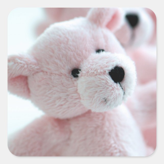 Baby Bear Quadratischer Aufkleber (Vorderseite)