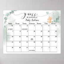 Baby Bear Shows Ratschlag Fälligkeitsdatum Kalende