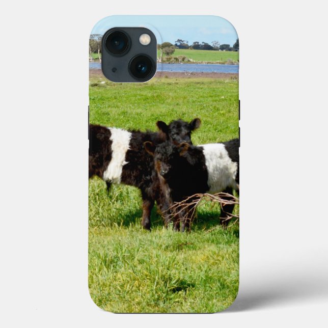 Baby Belted Galloway Calves, iPhone 13 Case (Rückseite)