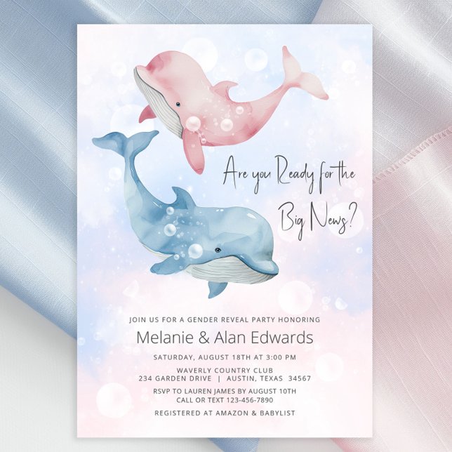 Baby Beluga Whale Gender Reveal Party Einladung (Cute whale gender reveal invitation with adorable pink and blue baby beluga whales.)