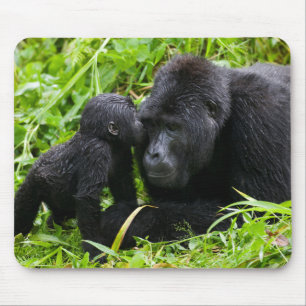 Baby-Berggorilla küsst Silberrücken-Gorilla Mousepad