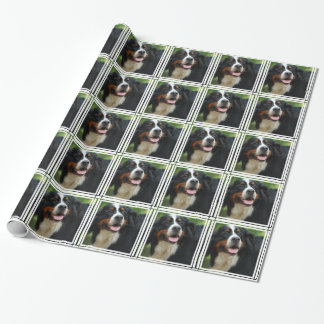 Baby Bernese Gebirgshund Geschenkpapier