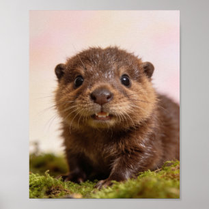 Baby-Biber-Kinderzimmer-Wandkunst-Druck Poster
