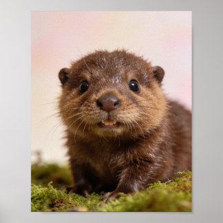 Baby-Biber-Kinderzimmer-Wandkunst-Druck Poster
