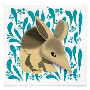 Baby Bilby Fotodruck