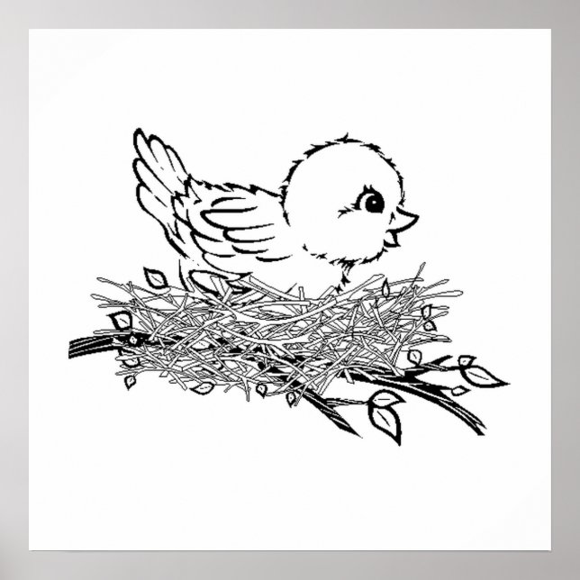 Baby Bird in Nest Poster (Vorne)