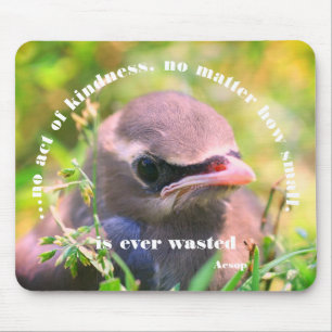 Baby Bird-Kindness-Zitat Inspiration Mousepad