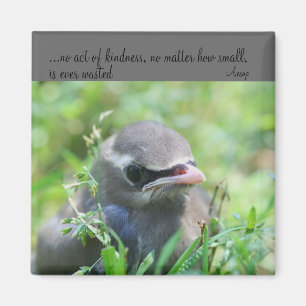 Baby Bird-Kindzitat Inspiration Magnet