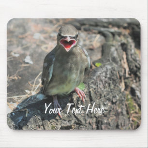Baby Bird Nature Fotografy Mousepad