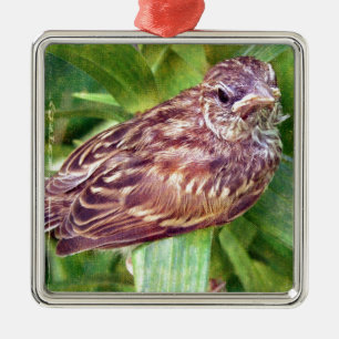 Baby Bird Ornament Aus Metall