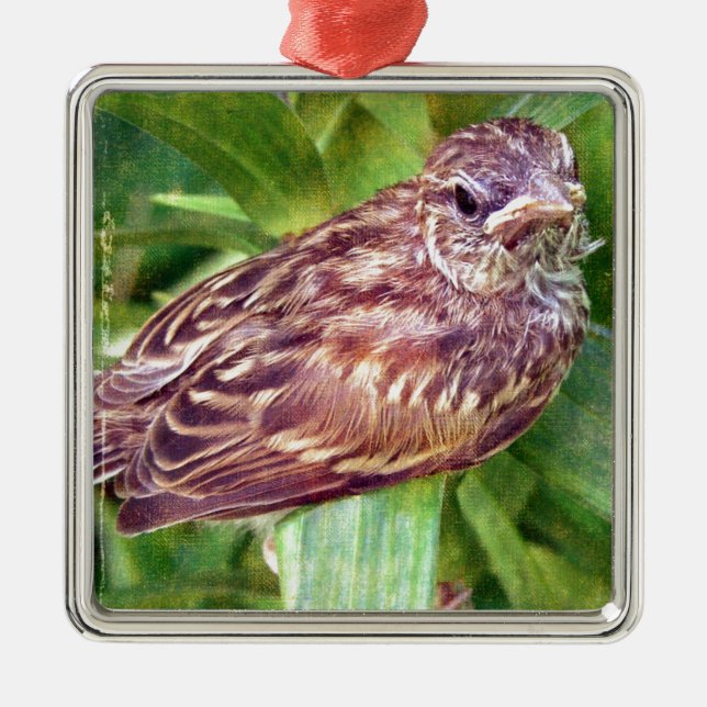 Baby Bird Ornament Aus Metall (Vorne)