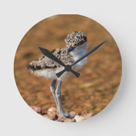 Baby Bird Runde Wanduhr