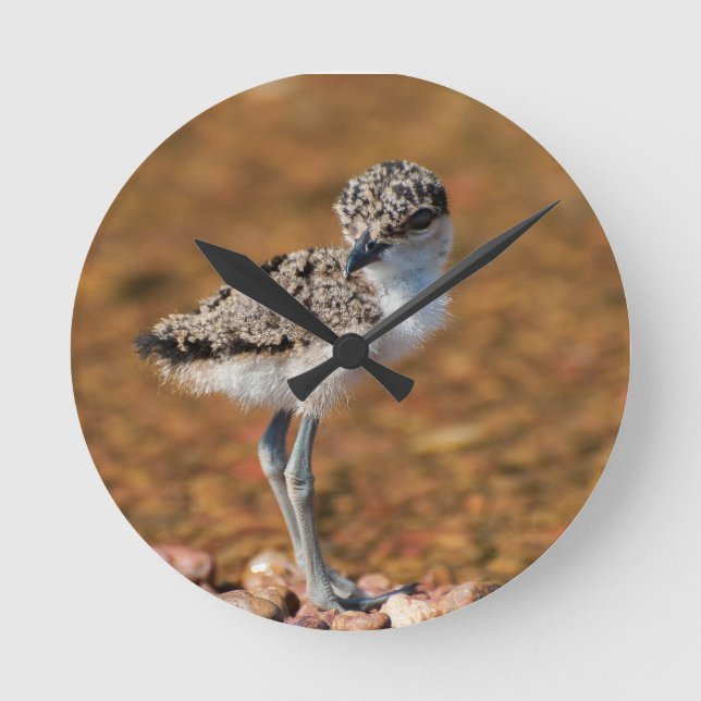 Baby Bird Runde Wanduhr (Vorderseite)