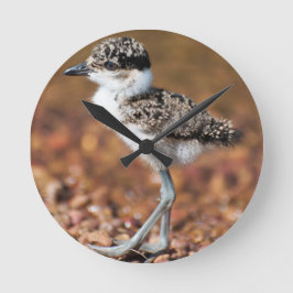 Baby Bird Runde Wanduhr