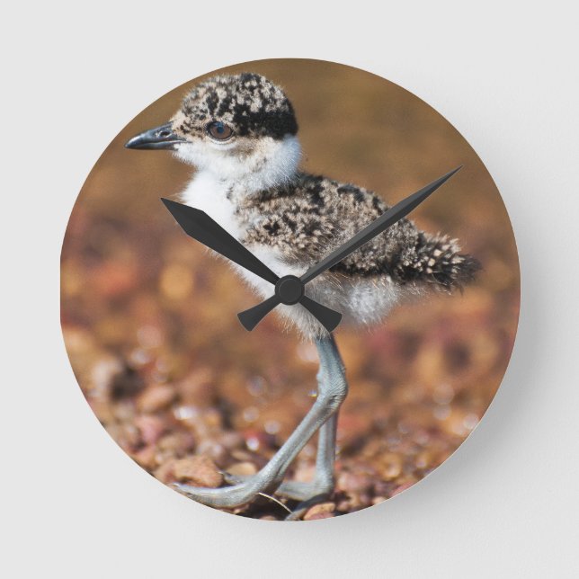 Baby Bird Runde Wanduhr (Vorderseite)
