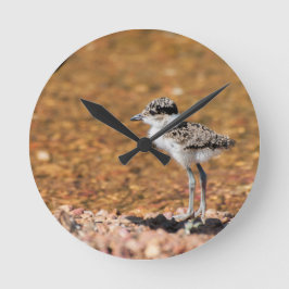 Baby Bird Runde Wanduhr