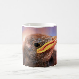 Baby Bird Tasse