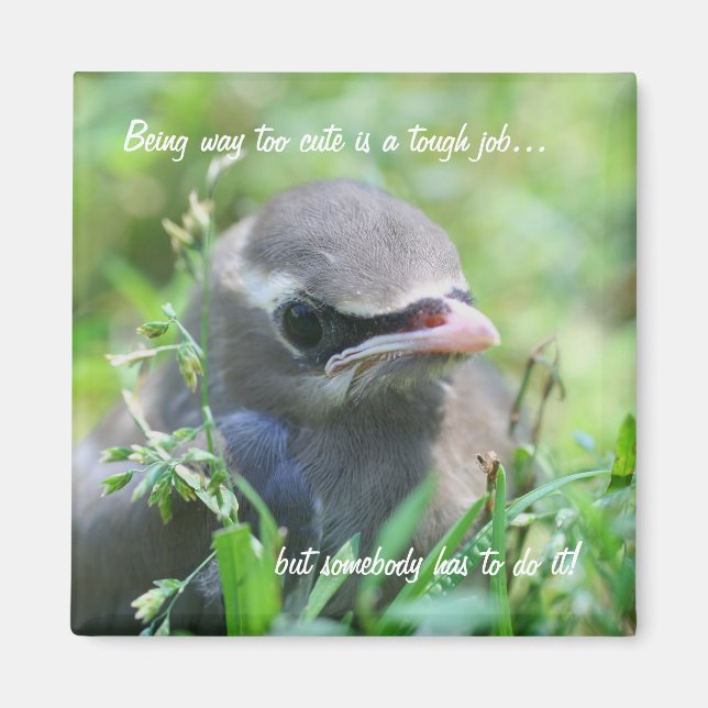 Baby Bird zu Niedliches Funny Nature Magnet (Vorne)