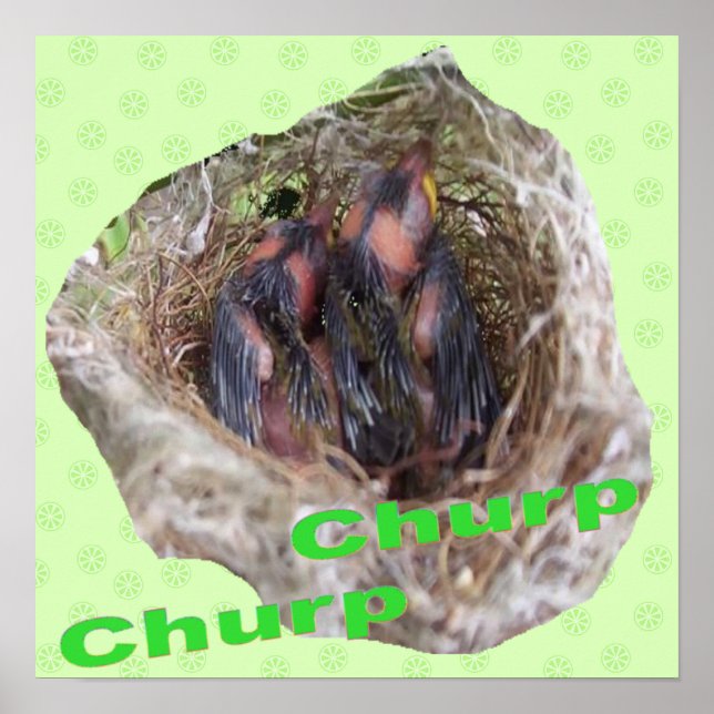 Baby Birds Poster (Vorne)