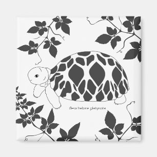 Baby-birmanischer Stern-Schildkröten-Magnet Magnet