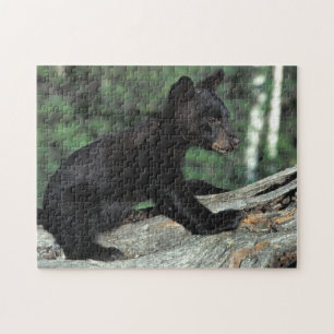 Baby Black Bear Cub Puzzle